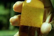Ha'kanules, test bottle with dirty water