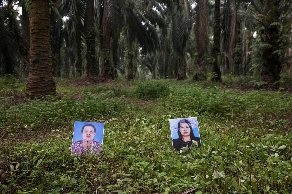 Montha Chukaew und Pranee Boonrat, Mitglieder der Southern Peasants’ Federation of Thailand, ermordet im Jahr 2012. Zwei Fotos stehen im Wald auf dem Boden, dabei handelt es sich um Montha Chukaew und Pranee Boonrat, Mitglieder der Southern Peasants’ Federation of Thailand, die im Jahr 2012 ermordet wurden.